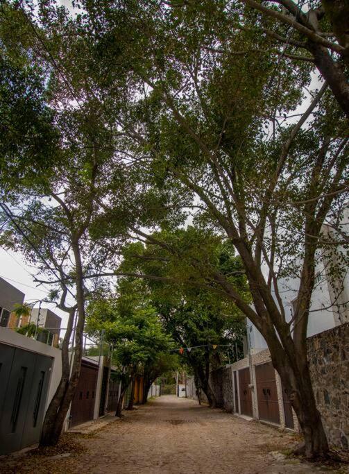 ¡Nueva! Bamboo La Guayaba Villa Jiutepec Exteriör bild